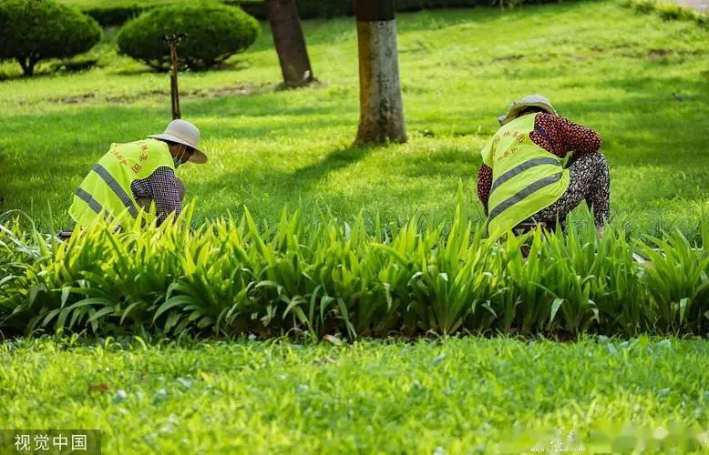 宁国绿化苗木花卉市场在哪里