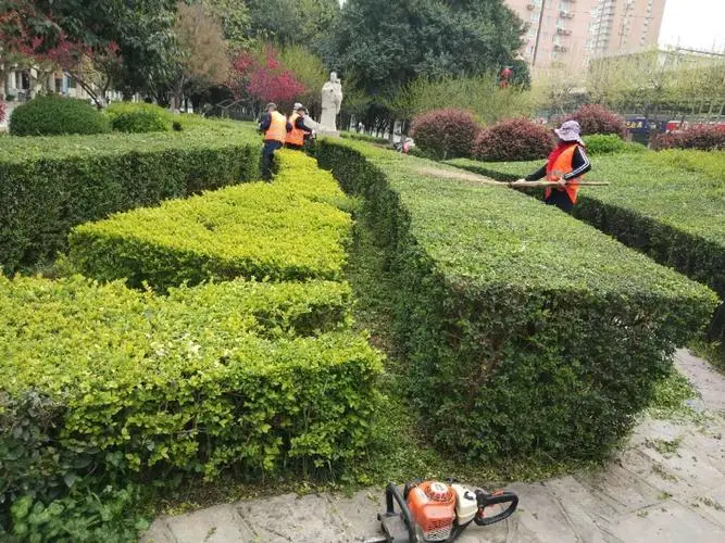 蔚县东盛大街绿化工程项目