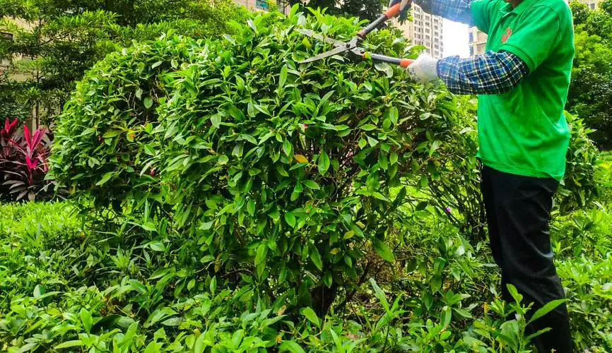 河南园林绿化工程项目管理系统