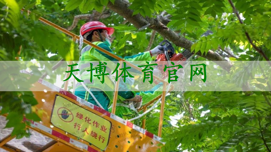 什么叫大区绿化工程
